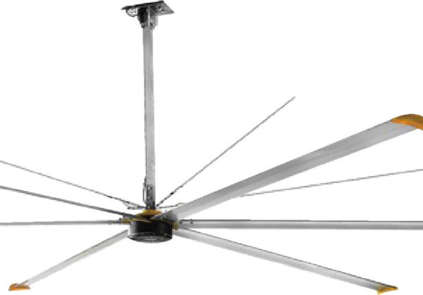 Quạt Trần công nghiệp