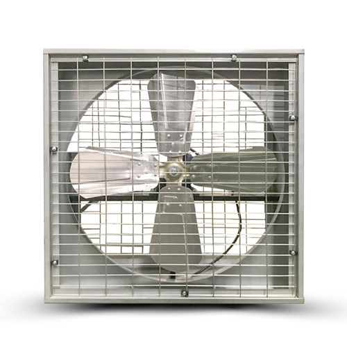 Quạt thông gió dòng D trực tiếp