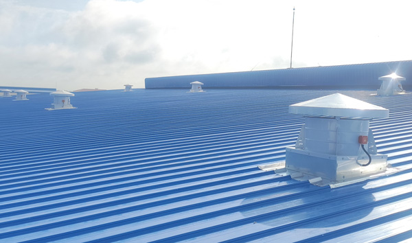 Quạt hút mái nhà iFan.