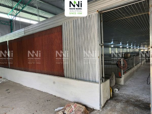 hệ thống thông gió làm mát trang trại chăn nuôi Long An
